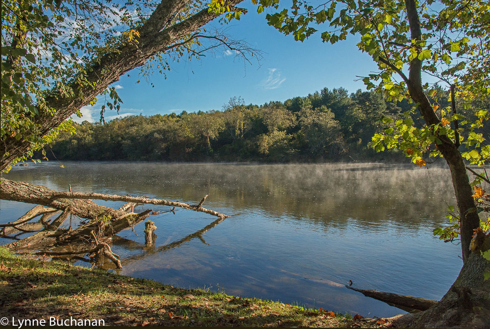 The French Broad River — Lynne Buchanan Photography